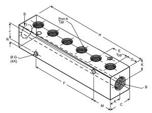 MANIFOLD 2 1/8 NPT OUT x 1/4 NPT IN | Polyconn