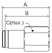 Female Connector
