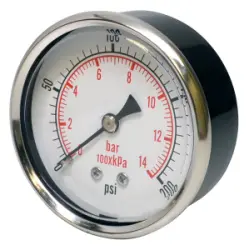 Dry Gauges with Back Mount